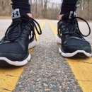 MS복싱아카데미 이미지