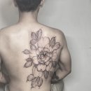 놀타투