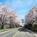 운문가는길 이미지