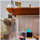 스테이 파란 이미지