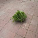 길손민박 이미지