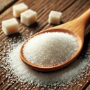 선암호수태권도 이미지