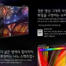 LG UHDTV 최저가판매 헬로렌탈 초기비용0원 이미지