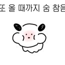 조가네밀면
