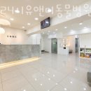 인천24시유앤미동물병원 이미지