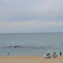 경포의하루 | 스카이베이 호텔 경포 조식 뷔페 수영장 예약 후기 할인정보