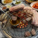 제주 한라돈