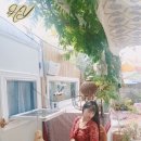 리아드소포라 | 리아 드 소포라(RIA DE SOPHORA), 안산 대부도 등나무 야외정원 카페