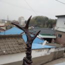 교리2길-1 이미지