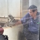 서인빌리지 앞 | [하와이☀️🌊🌴] 11월 中 - 운이 좋아서 🍀