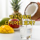 올바른 찬 | 코코넛워터, 다이어트 효과 진짜 있을까? 리얼 후기와 올바른 섭취법