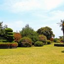 절물자연휴양림 이미지