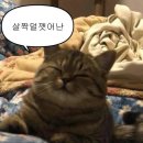 구움별당 | 회기 술집 추천 _ 파스타 맛집, 짱맛 안주 메뉴 가득한 경희대 와인바 ‘빅문 2호점’ 내돈내산 찐 후기