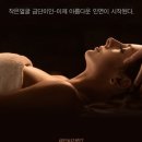 금단비가 세종점