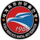 용인대 합기도 이미지