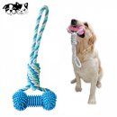 덴탈투유 이미지