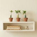 죽백3로 이미지