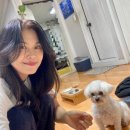 24시 위드유 동물의료센터 | 시흥 은계지구 애견미용실 위드유에서 위생 미용하고 왔어요.