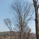 덕산저수지 이미지