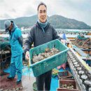 완도1호 이미지