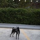 바다와 하루이틀 | 이틀 연속 방문! 리뉴얼된 팔공산 맛집 ‘벽우 바다한상’ 인기 메뉴 솔직 리뷰