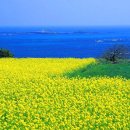 그섬에가고싶다 이미지