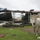 돌풍목장 이미지