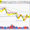 세화코리아 이미지