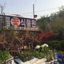 강동꽃화원 이미지