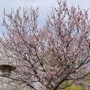 동작충효길 6코스 동작마루길 이미지