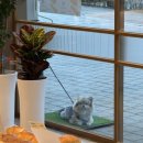 뚜레쥬르 하남유니온시티점 이미지