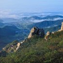 남해대로 이미지