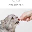 오산동물병원 이미지