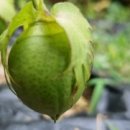 소화식당 - 사상구 주례로9번길 26 | 소화식당