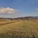 삼산면-3 이미지