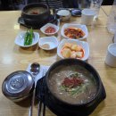 제주이즈 | [제주] 동백 이즈 윈터 투어｜겨울 제주 4일 여행기 Day1 풀버젼