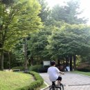 주식회사 애니유통 | 미스트 뿌리는MSM, 뿌리는 파스, 통증미스트 사용후기