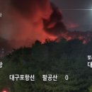도동이네 이미지