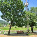 운천5리마을회관 이미지