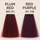 퍼플플럼 | 에스파 카리나 레드퍼플,플럼레드 염색 후기 [인계동미용실 | 캐치헤어]