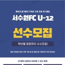 비비글로벌에프씨