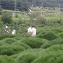 우직농장 이미지