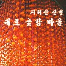 지리산대포마을 이미지