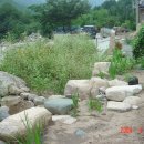 구곡조경