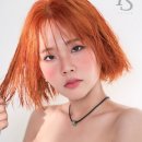 프리제헤어