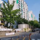 오금초교 이미지