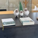 샌드파스타 | 강릉 화덕샌드 피자 파스타 대형 레스토랑 라몬타냐 현지인들이 추천하는 맛집 후기