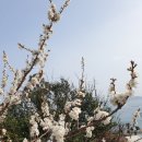 첼레스떼펜션 이미지