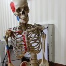 월드경희한의원 | 김포한의원 월드경희한의원 이용후기요