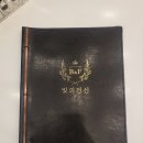 빛의전신